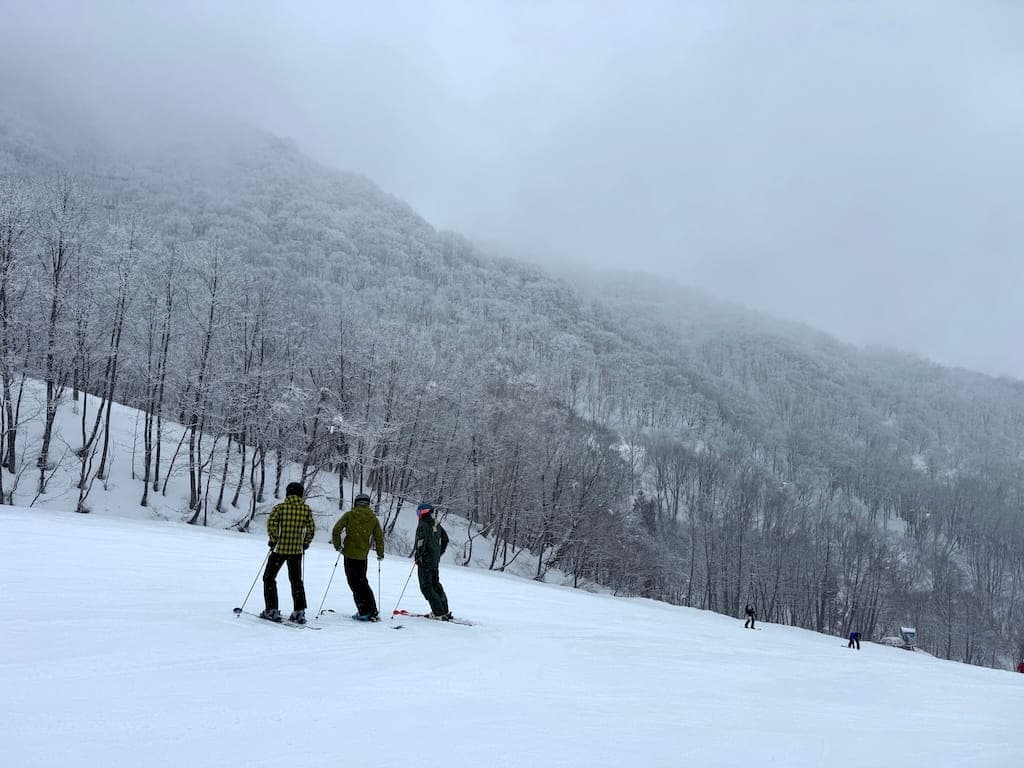 Blue Star Hotel exterior