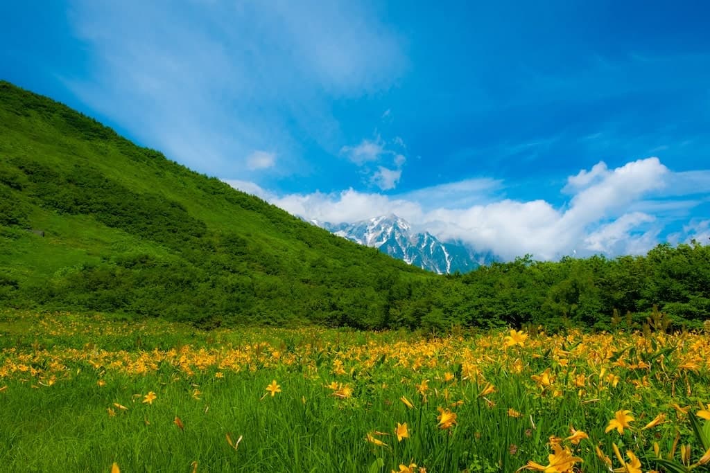 栂池自然園トレッキング