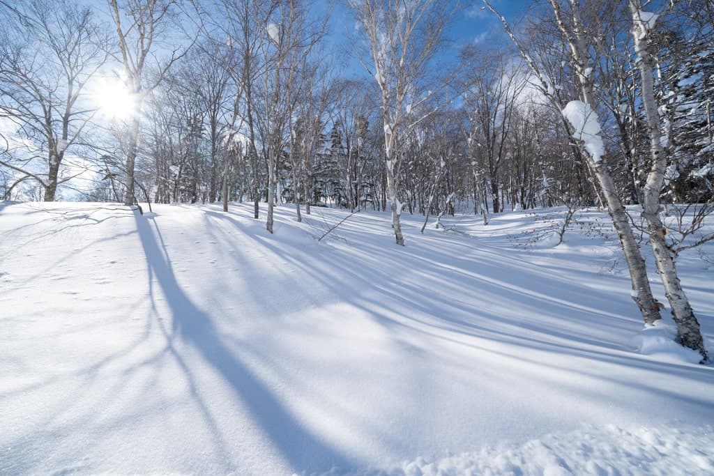 Tsugaike Kogen off piste run