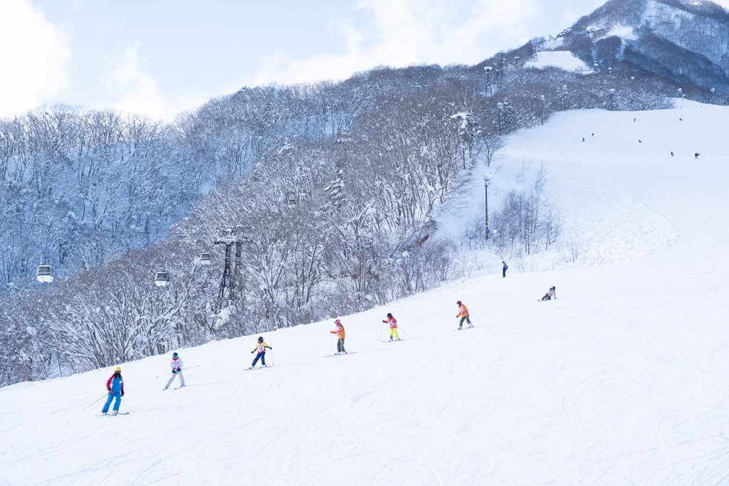 Tsugaike Kogen ski slope